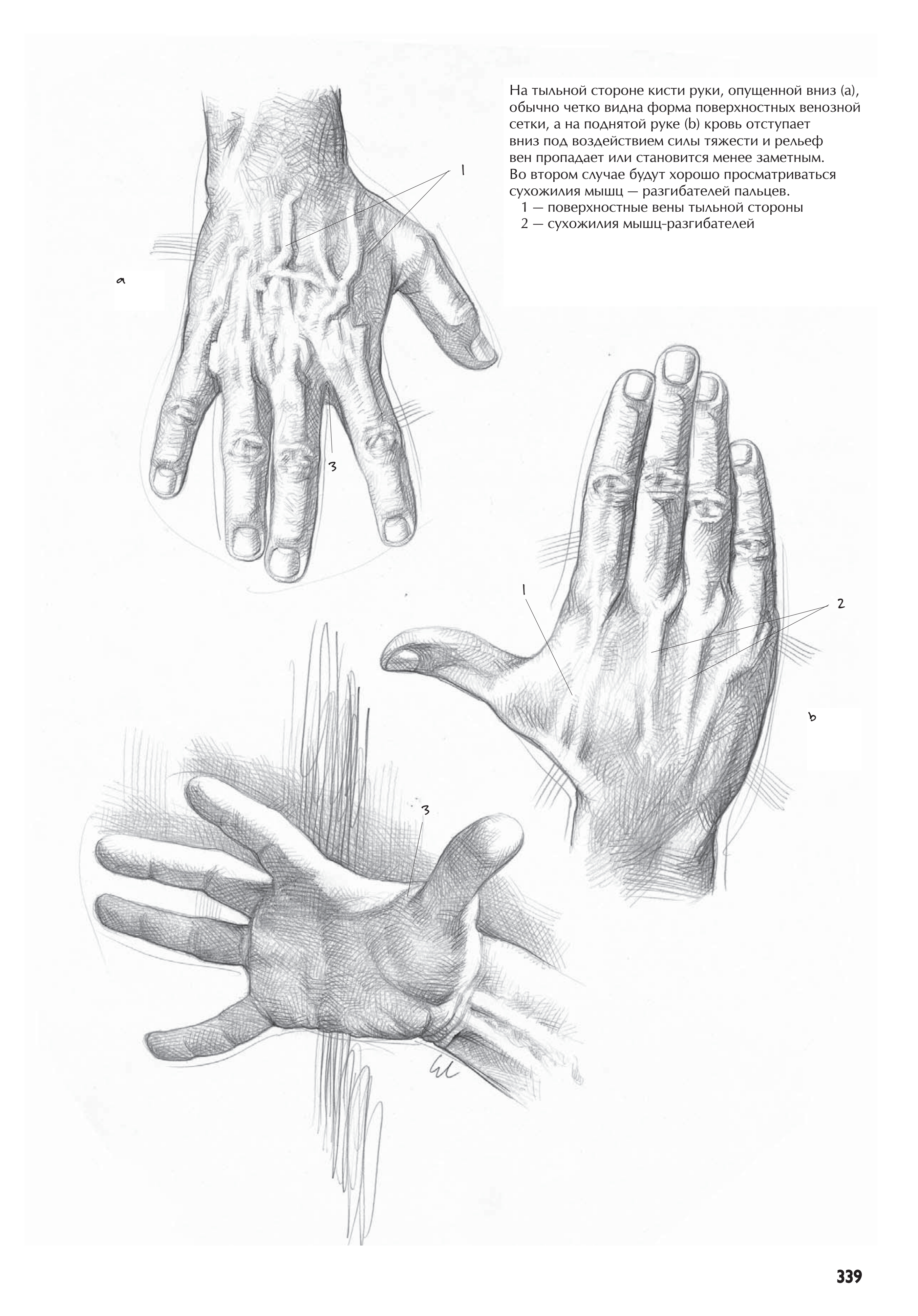 آموزش نقاشی طراحی سیاه قلم شهرری